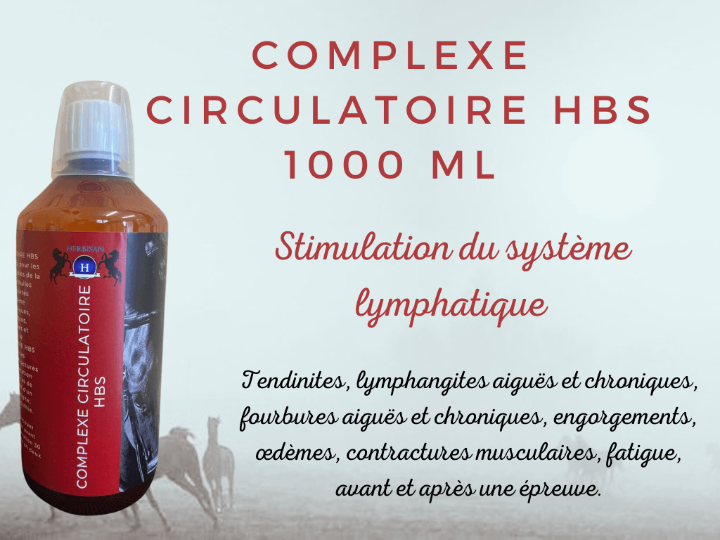 Herbisan Complexe Circulatoire - SHOPHORSE
